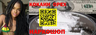 индика Кандалакша