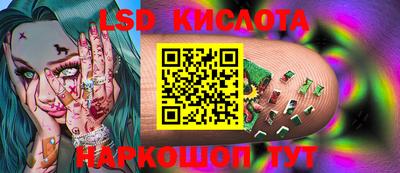 индика Кандалакша