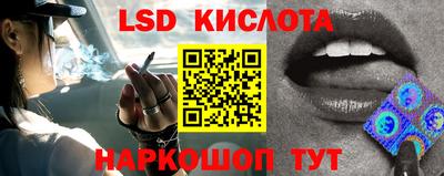 индика Кандалакша