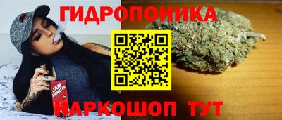 индика Кандалакша