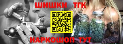 индика Кандалакша