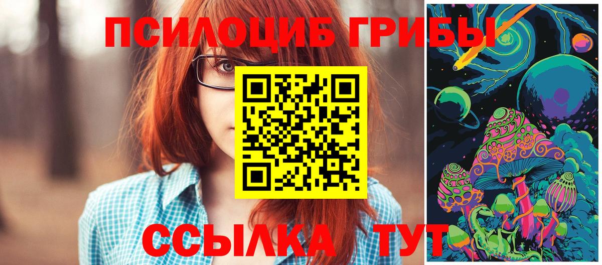 Псилоцибиновые грибы мицелий Кулебаки