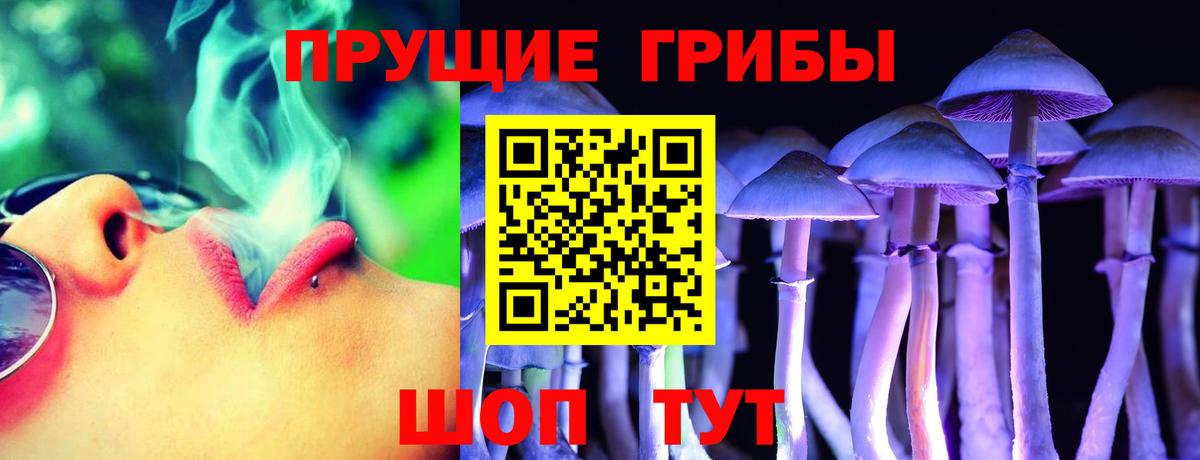 Кулебаки  Галлюциногенные грибы GOLDEN TEACHER  Вход с VPN 